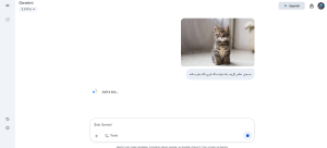 ویرایش عکس با هوش مصنوعی جمینای