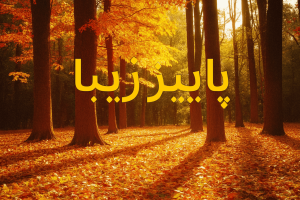 هوش مصنوعی Copilot