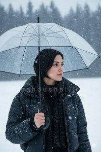ساخت عکس برفی و زمستانی با پرامپت هوش مصنوعی