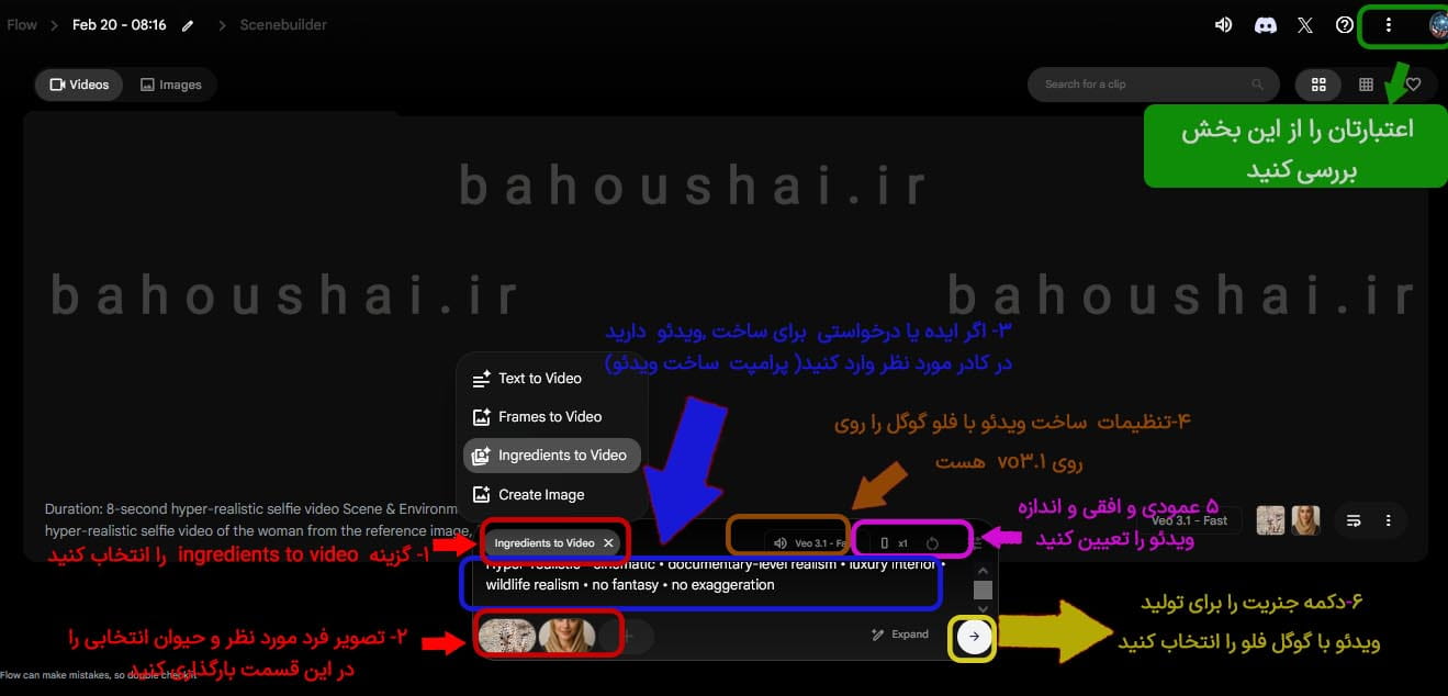 ساخت ویدئو فلو با حیوان